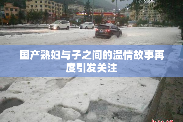 国产熟妇与子之间的温情故事再度引发关注