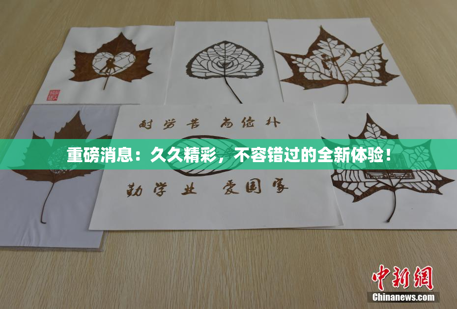 重磅消息：久久精彩，不容错过的全新体验！