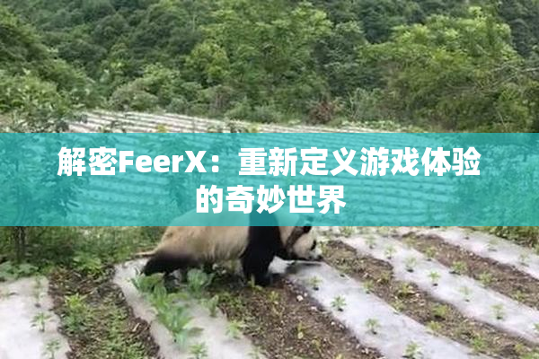 解密FeerX：重新定义游戏体验的奇妙世界