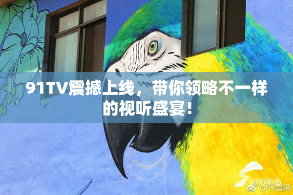 91TV震撼上线，带你领略不一样的视听盛宴！