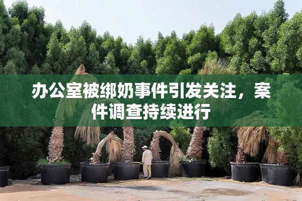 办公室被绑奶事件引发关注，案件调查持续进行