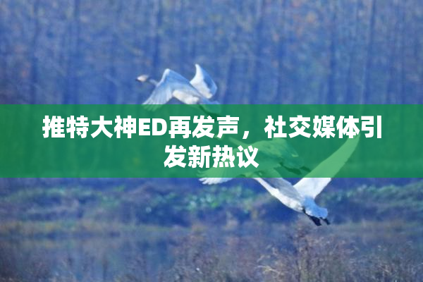 推特大神ED再发声，社交媒体引发新热议