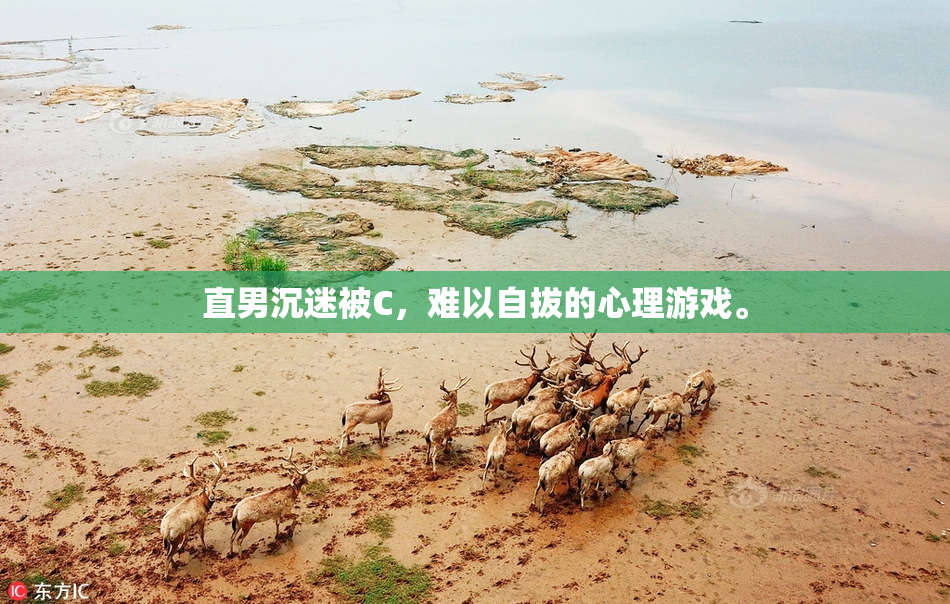 直男沉迷被C，难以自拔的心理游戏。