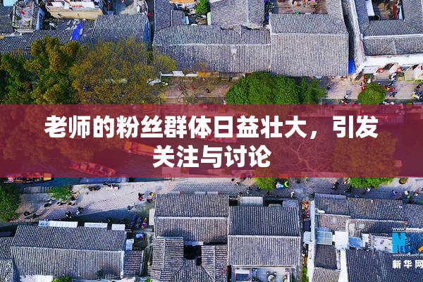 老师的粉丝群体日益壮大，引发关注与讨论