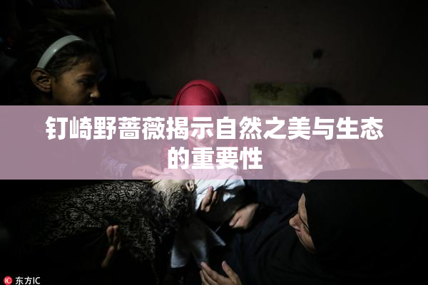 钉崎野蔷薇揭示自然之美与生态的重要性