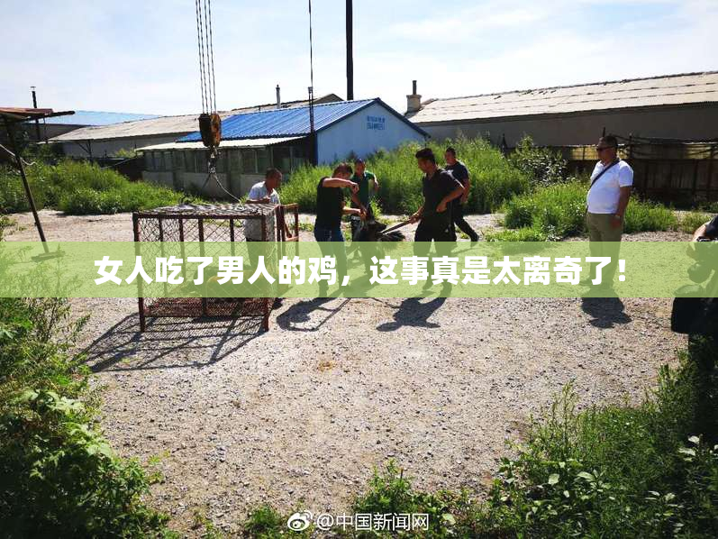 女人吃了男人的鸡，这事真是太离奇了！