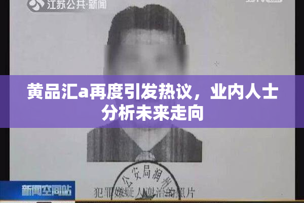 黄品汇a再度引发热议，业内人士分析未来走向