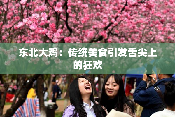 东北大鸡：传统美食引发舌尖上的狂欢