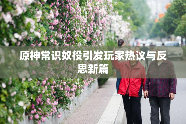 原神常识奴役引发玩家热议与反思新篇