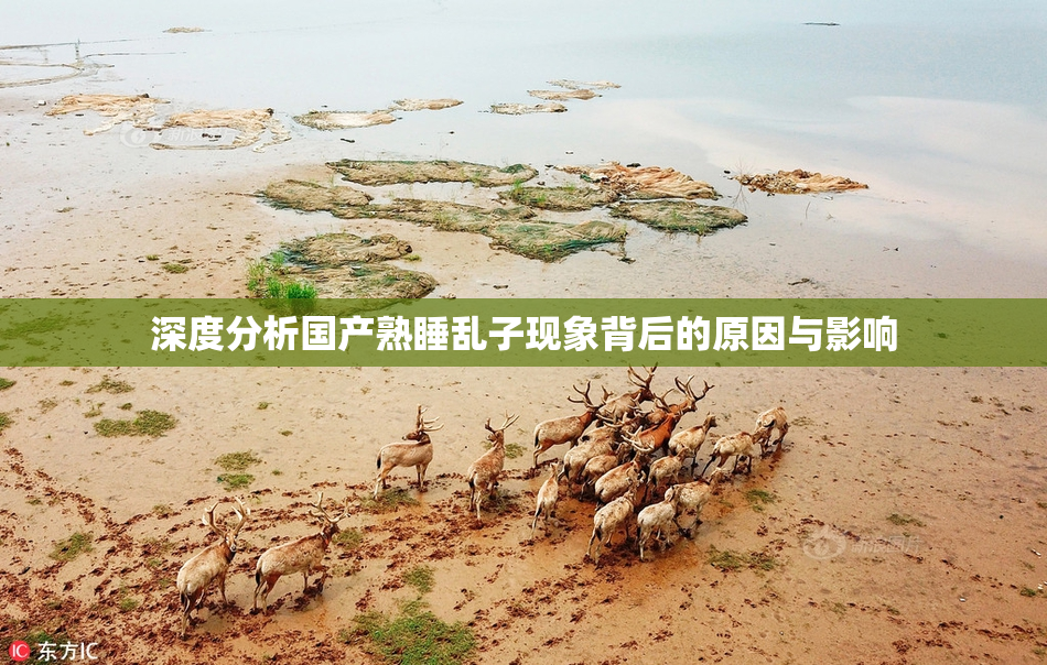 深度分析国产熟睡乱子现象背后的原因与影响