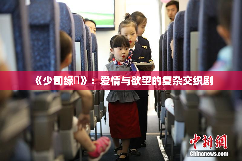 《少司缘婬》：爱情与欲望的复杂交织剧