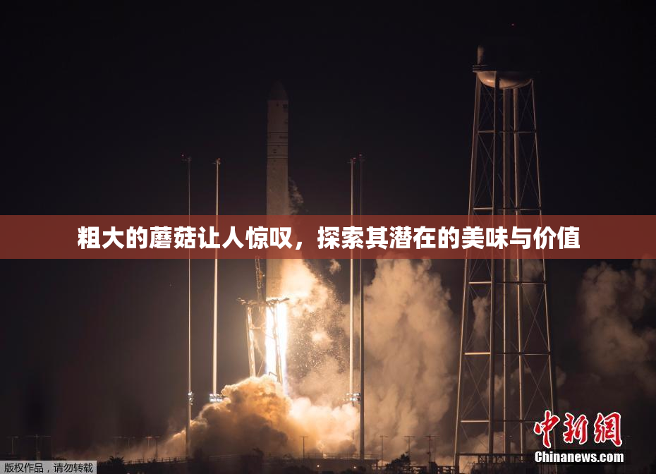 粗大的蘑菇让人惊叹，探索其潜在的美味与价值