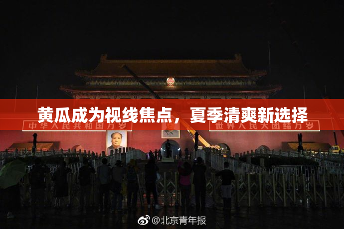 黄瓜成为视线焦点，夏季清爽新选择