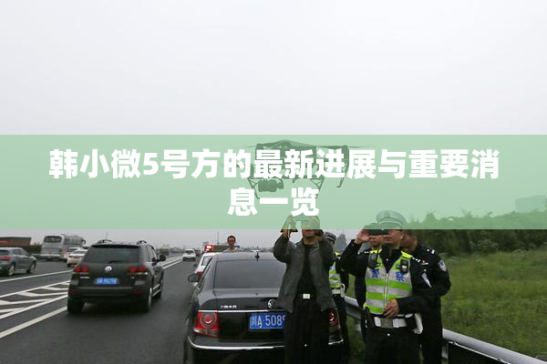 韩小微5号方的最新进展与重要消息一览