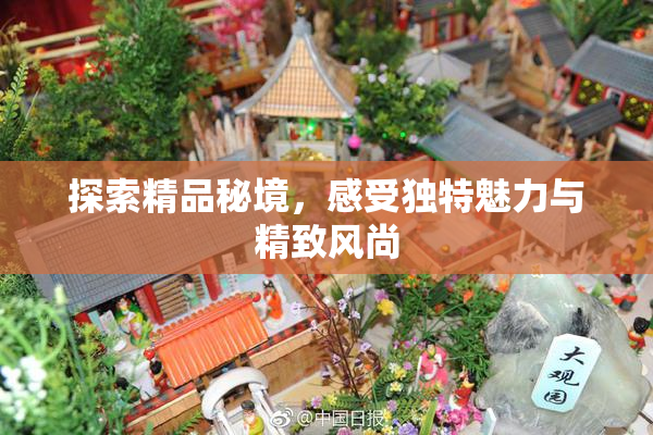 探索精品秘境，感受独特魅力与精致风尚