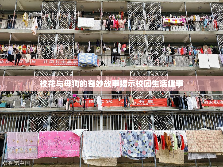 校花与母狗的奇妙故事揭示校园生活趣事