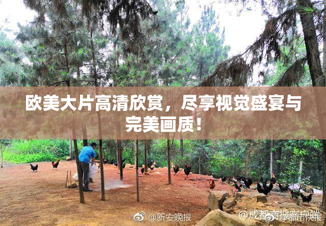 欧美大片高清欣赏，尽享视觉盛宴与完美画质！