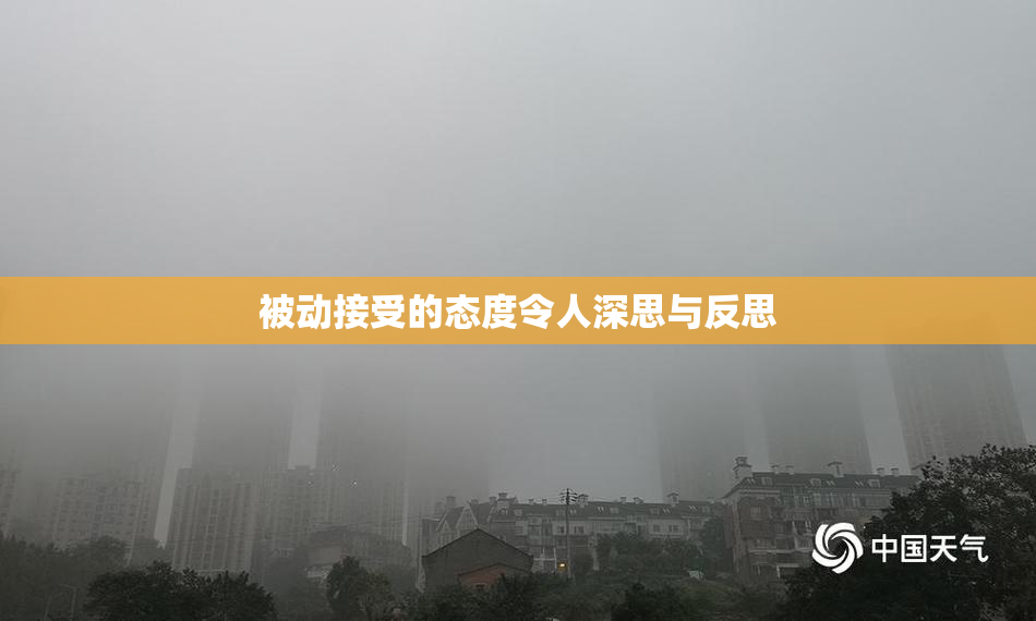 被动接受的态度令人深思与反思