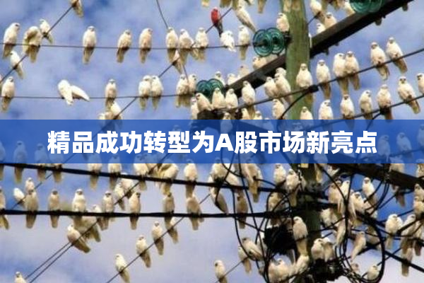 精品成功转型为A股市场新亮点