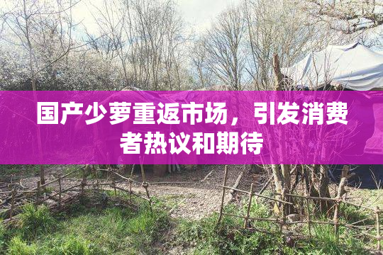 国产少萝重返市场，引发消费者热议和期待