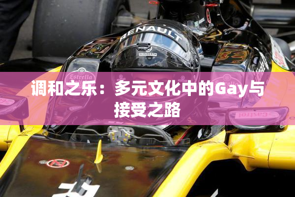 调和之乐：多元文化中的Gay与接受之路