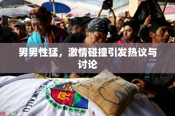 男男性猛，激情碰撞引发热议与讨论