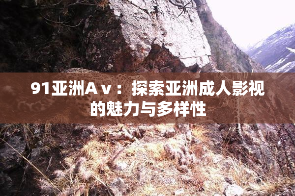 91亚洲Aⅴ：探索亚洲成人影视的魅力与多样性
