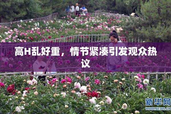 高H乱好重，情节紧凑引发观众热议