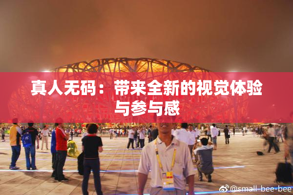 真人无码：带来全新的视觉体验与参与感
