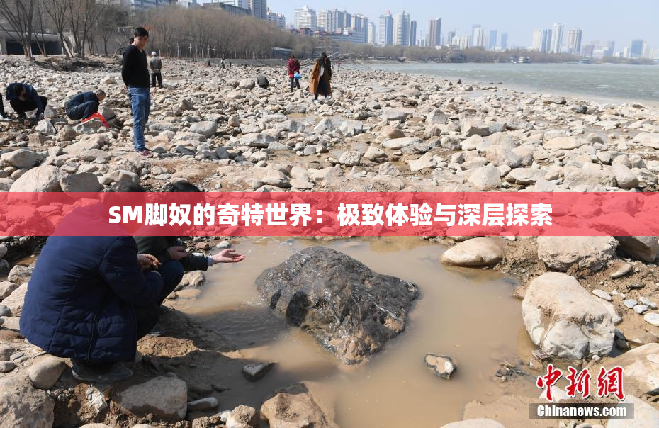 SM脚奴的奇特世界：极致体验与深层探索