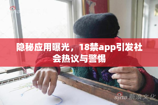 隐秘应用曝光，18禁app引发社会热议与警惕