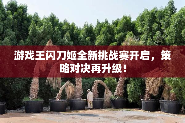 游戏王闪刀姬全新挑战赛开启，策略对决再升级！