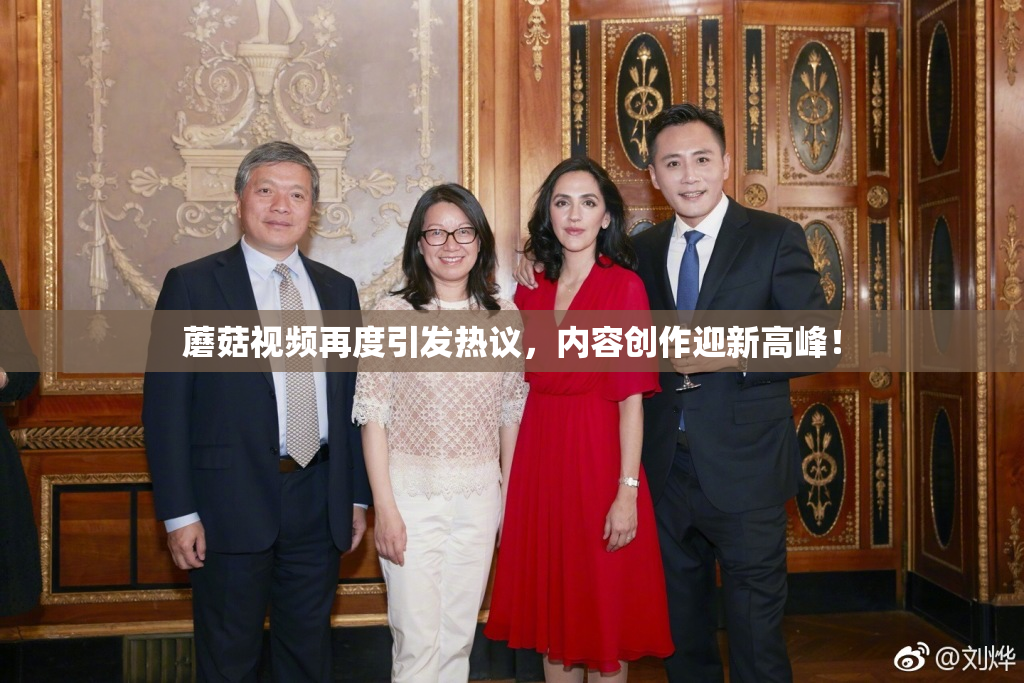 蘑菇视频再度引发热议，内容创作迎新高峰！