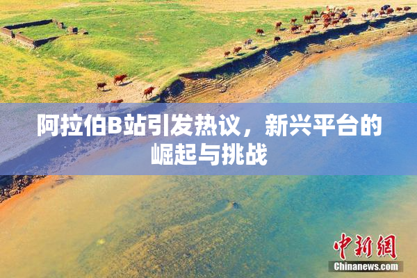 阿拉伯B站引发热议，新兴平台的崛起与挑战