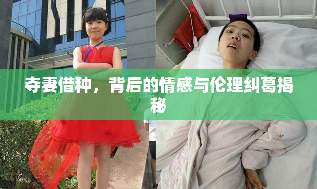 夺妻借种，背后的情感与伦理纠葛揭秘