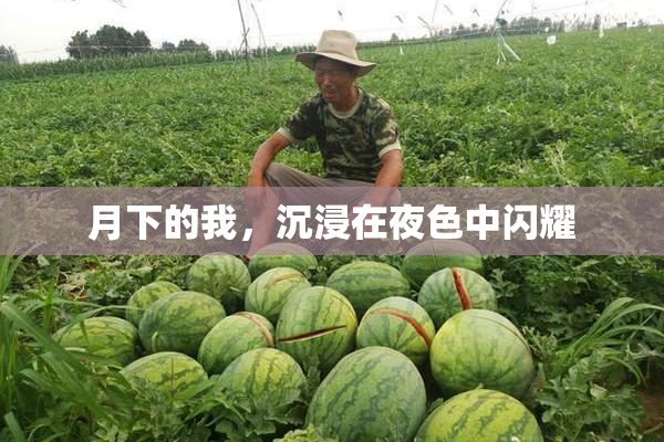 月下的我，沉浸在夜色中闪耀