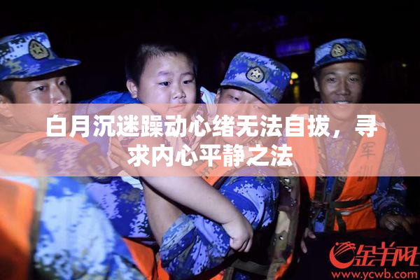 白月沉迷躁动心绪无法自拔，寻求内心平静之法