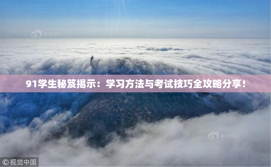 91学生秘笈揭示：学习方法与考试技巧全攻略分享！