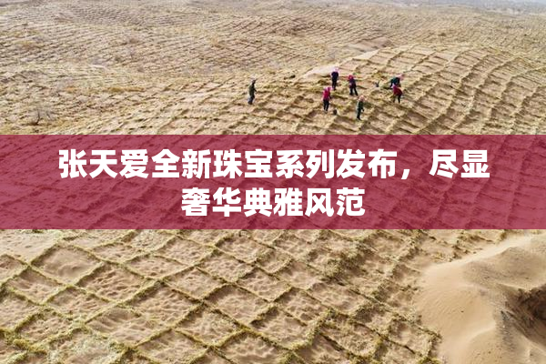 张天爱全新珠宝系列发布，尽显奢华典雅风范