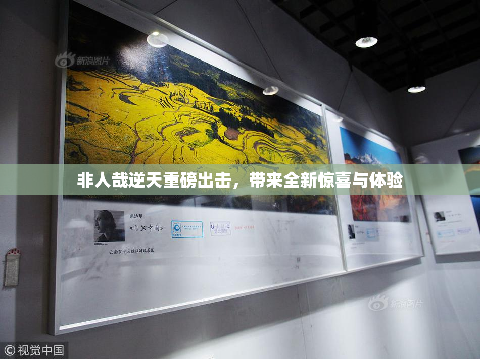 非人哉逆天重磅出击，带来全新惊喜与体验