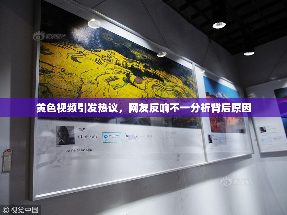 黄色视频引发热议，网友反响不一分析背后原因