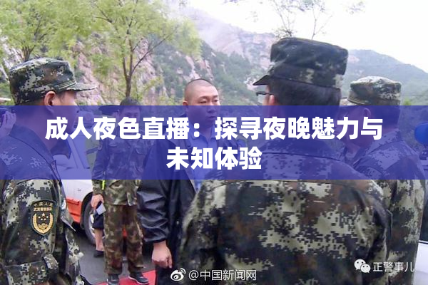 成人夜色直播：探寻夜晚魅力与未知体验
