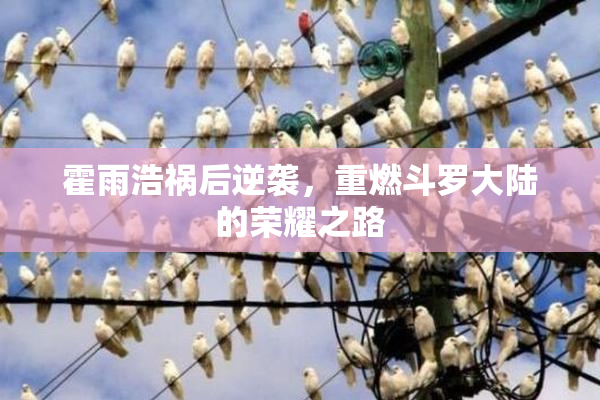 霍雨浩祸后逆袭，重燃斗罗大陆的荣耀之路
