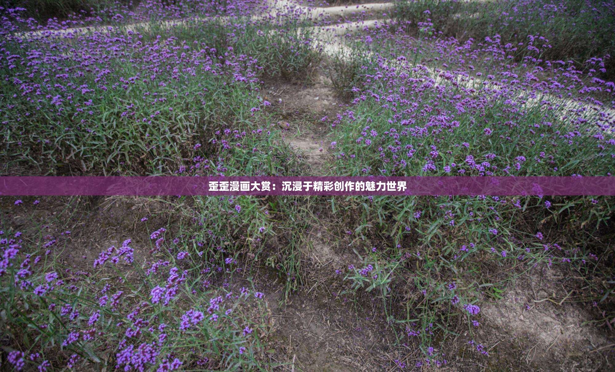 歪歪漫画大赏：沉浸于精彩创作的魅力世界