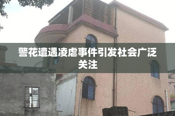警花遭遇凌虐事件引发社会广泛关注