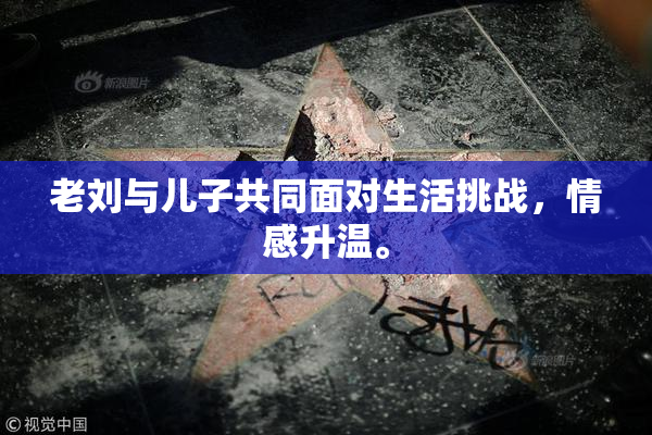老刘与儿子共同面对生活挑战，情感升温。