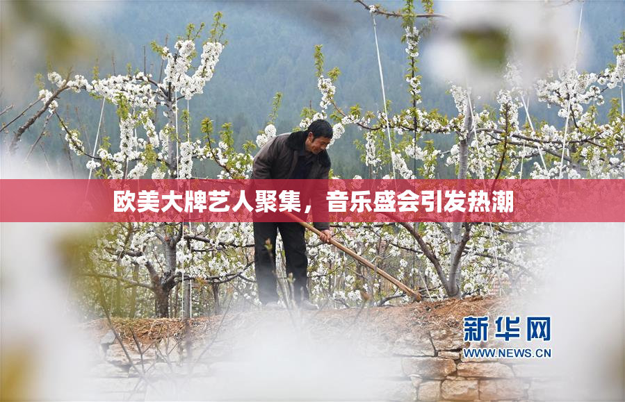 欧美大牌艺人聚集，音乐盛会引发热潮