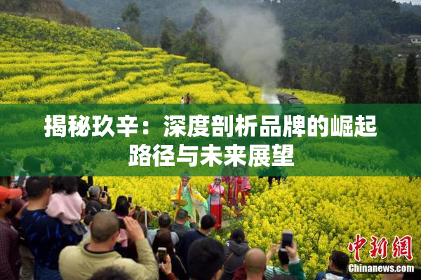 揭秘玖辛：深度剖析品牌的崛起路径与未来展望