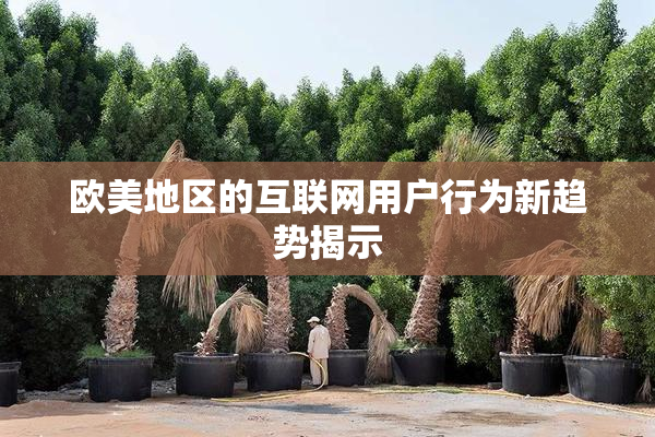 欧美地区的互联网用户行为新趋势揭示