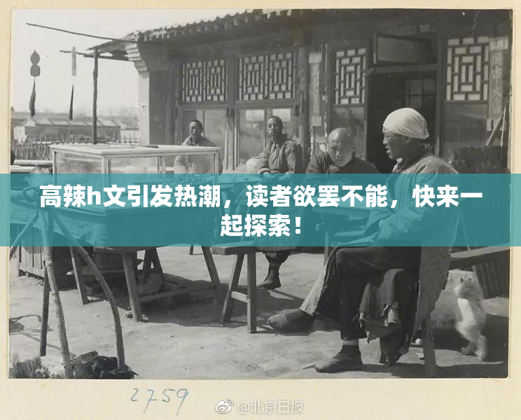 高辣h文引发热潮，读者欲罢不能，快来一起探索！